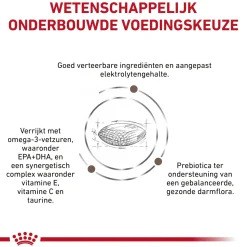 Royal Canin Gastrointestinal Hairball Kat