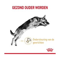 Royal Canin German Shepherd Adult 5+