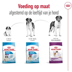 Royal Canin Giant Adult - Hondenvoer