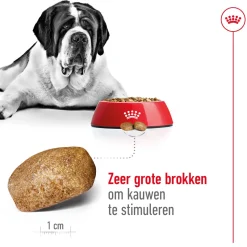 Royal Canin Giant Adult - Hondenvoer