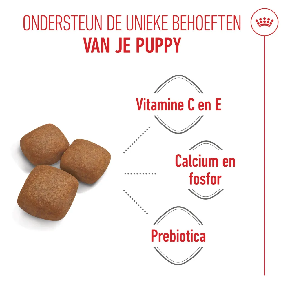 Royal Canin Giant Junior - Hondenvoer