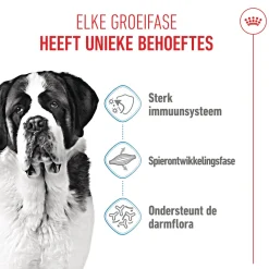 Royal Canin Giant Junior - Hondenvoer