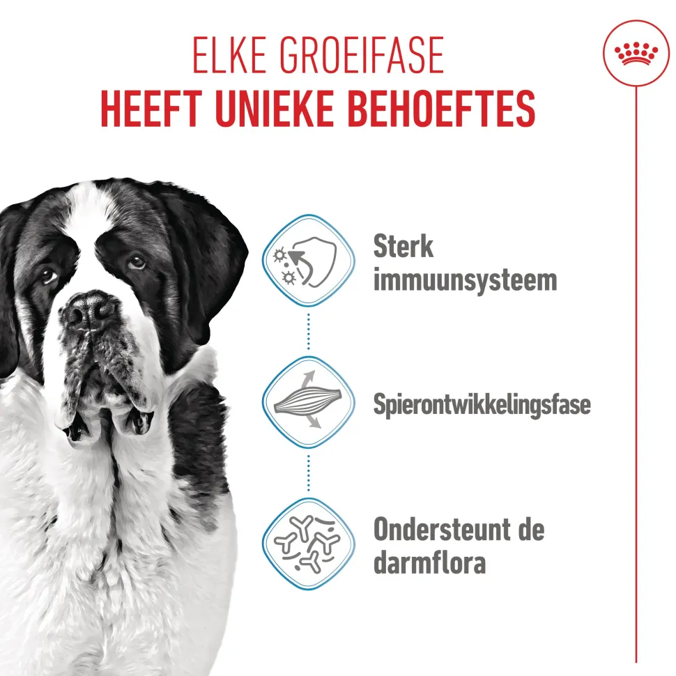Royal Canin Giant Junior - Hondenvoer