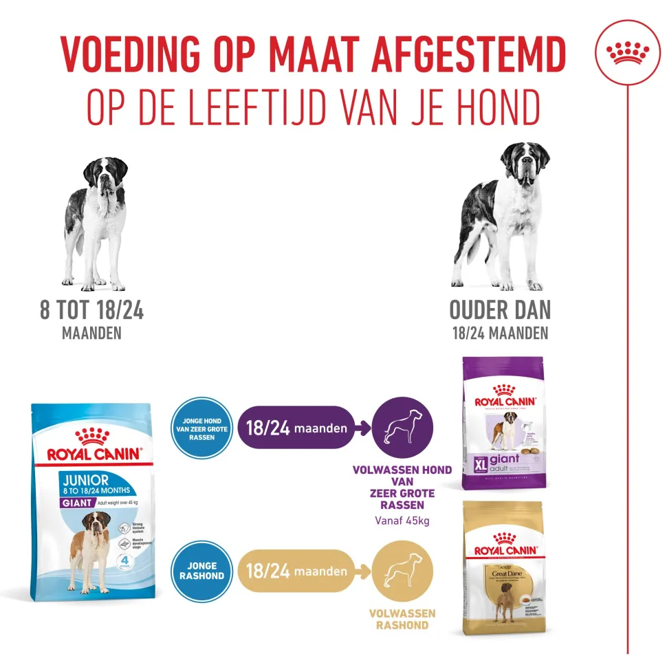 Royal Canin Giant Junior - Hondenvoer