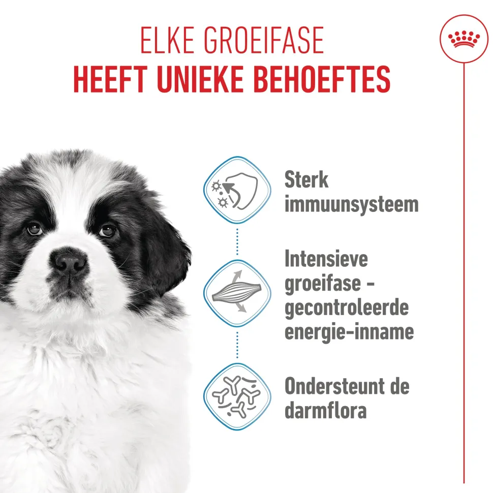 Royal Canin Giant Puppy - Hondenvoer
