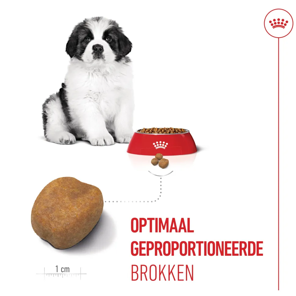 Royal Canin Giant Puppy - Hondenvoer
