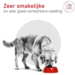 Royal Canin Glycobalance Hond