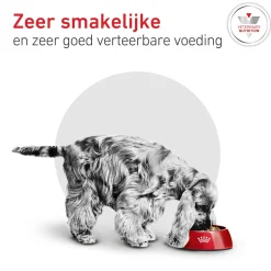 Royal Canin Glycobalance Small Dog