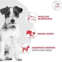 Royal Canin Glycobalance Small Dog