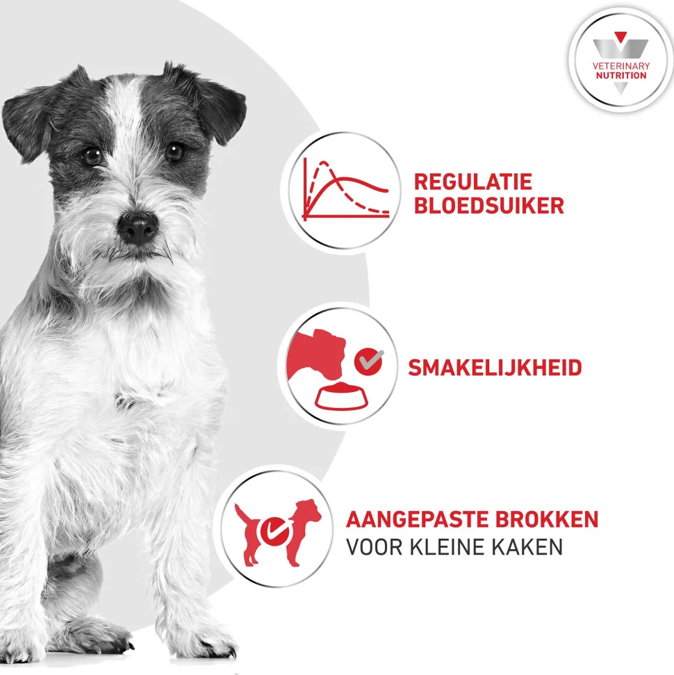 Royal Canin Glycobalance Small Dog