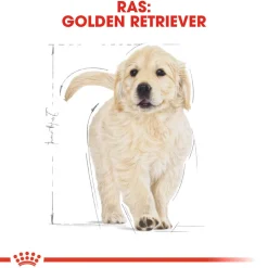 Royal Canin Golden Retriever Puppy - Hondenvoer