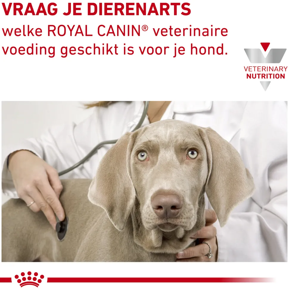 Royal Canin Hypoallergenic Hond