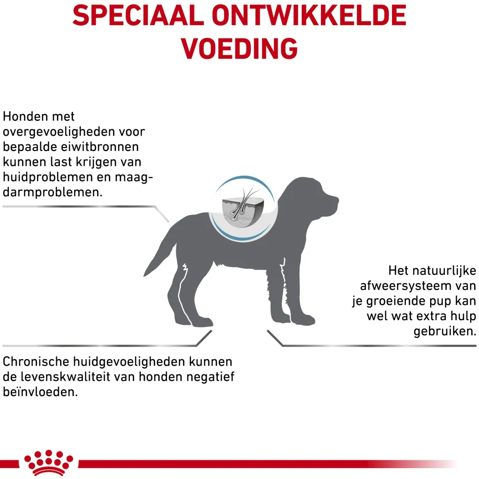 Royal Canin Hypoallergenic Puppy