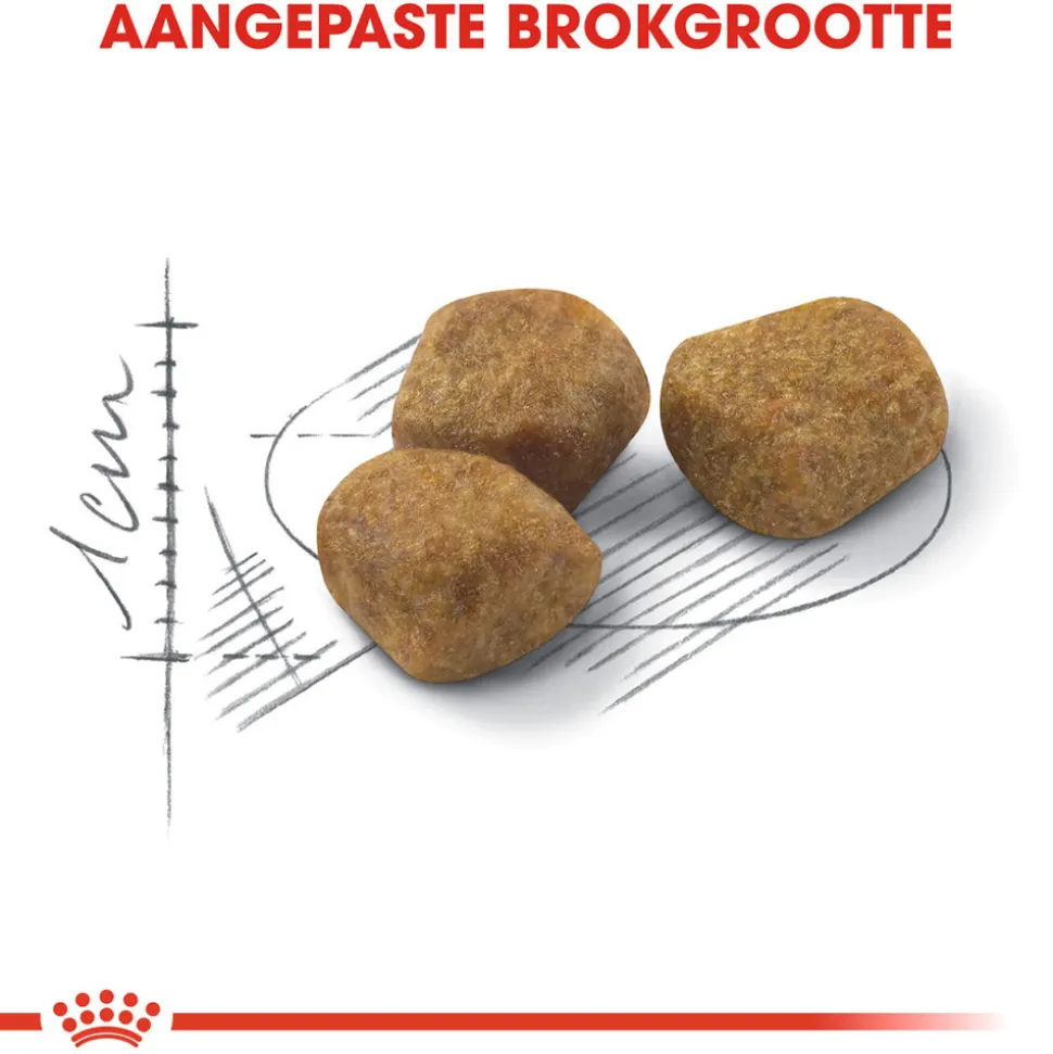 Royal Canin Indoor 7+ - Kattenvoer