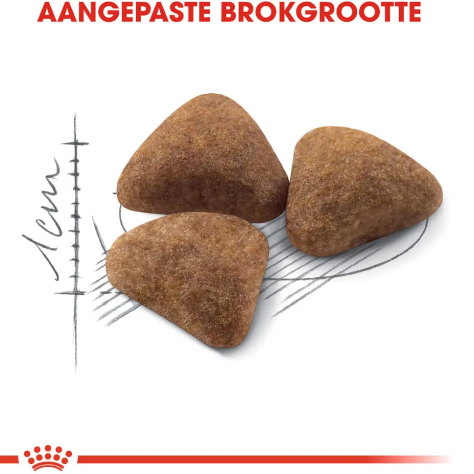 Royal Canin Indoor 27 - Kattenvoer
