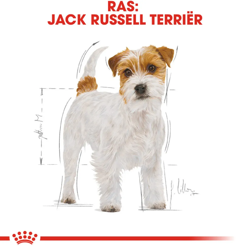 Royal Canin Jack Russell Terrier Adult - Hondenvoer