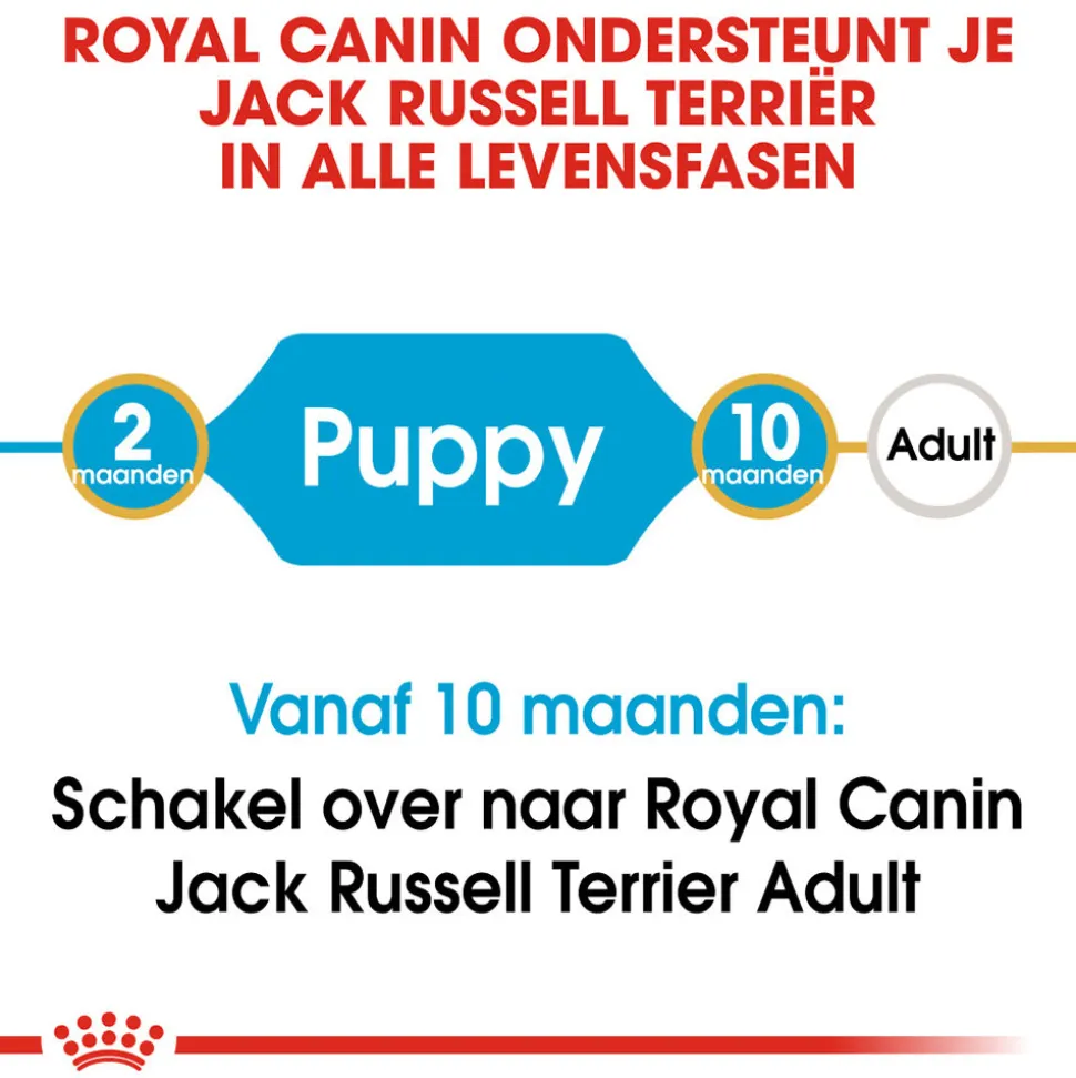 Royal Canin Jack Russell Terrier Puppy - Hondenvoer