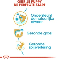 Royal Canin Jack Russell Terrier Puppy - Hondenvoer