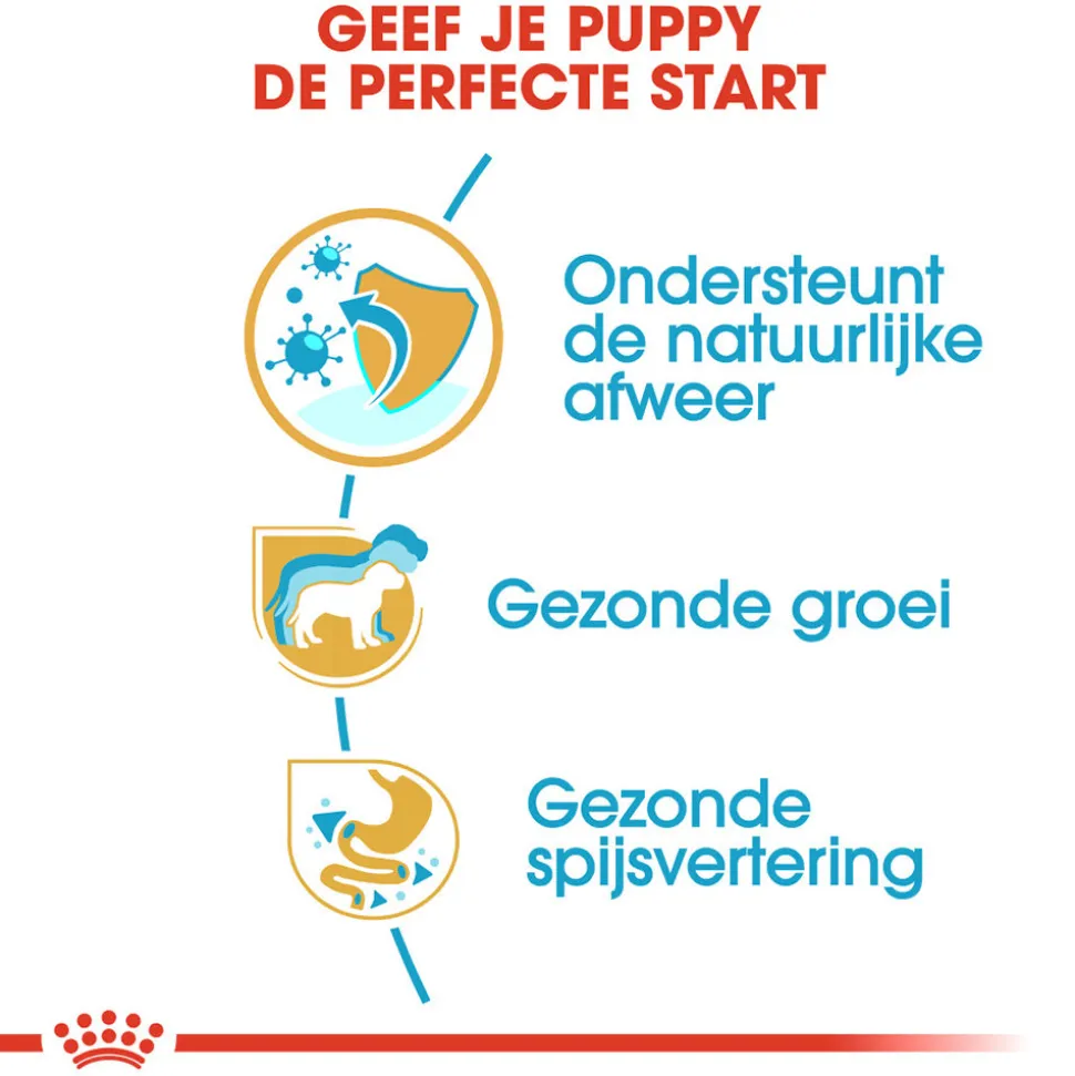 Royal Canin Jack Russell Terrier Puppy - Hondenvoer