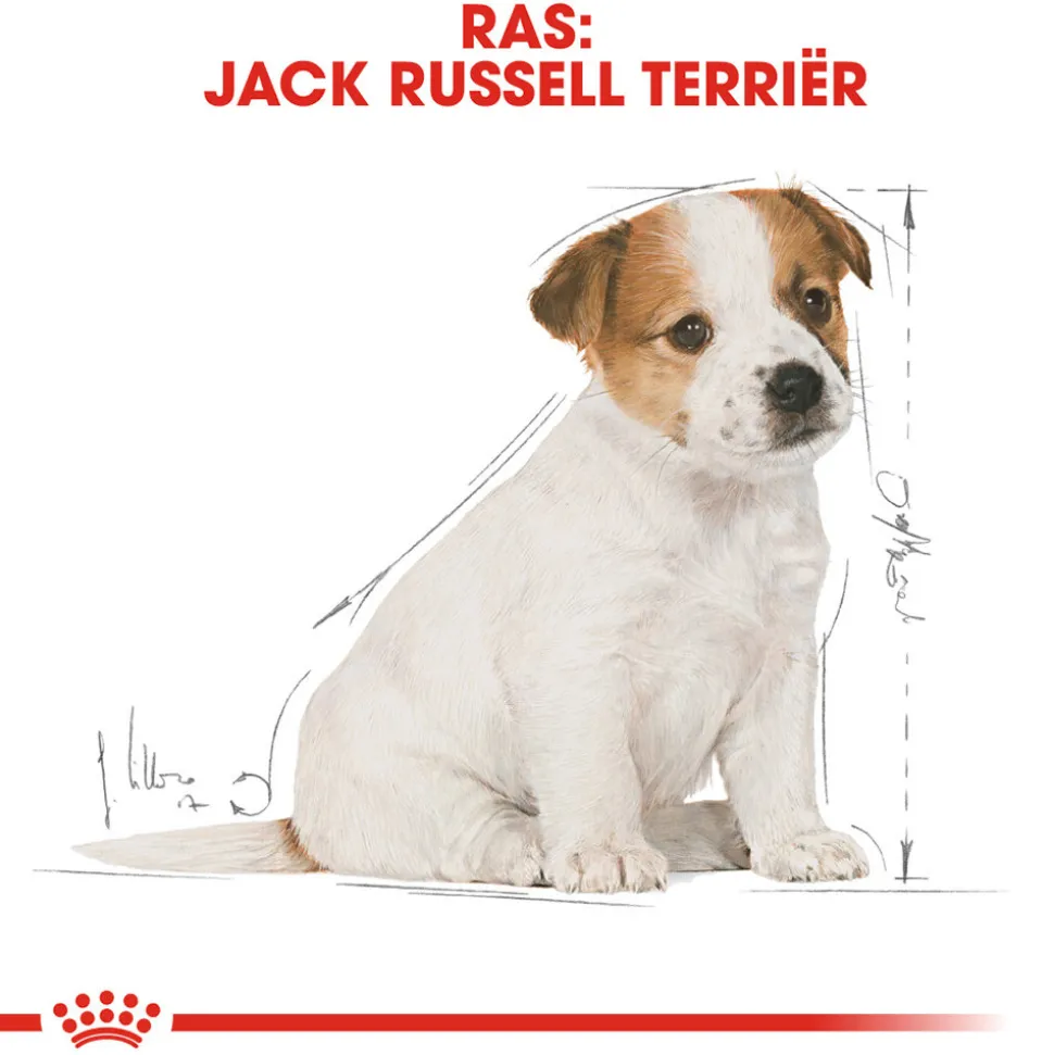 Royal Canin Jack Russell Terrier Puppy - Hondenvoer