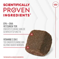 Royal Canin Joint & Ageing Supplements Chews Hond