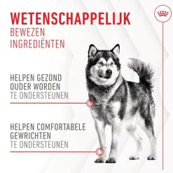 Royal Canin Joint & Ageing Supplements Chews Hond
