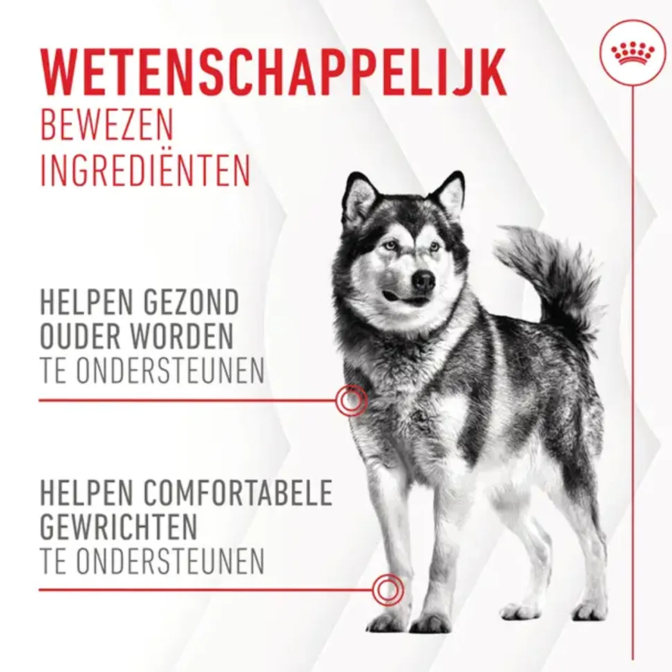 Royal Canin Joint & Ageing Supplements Chews Hond