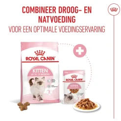 Royal Canin Kitten in Gravy - Kattenvoer