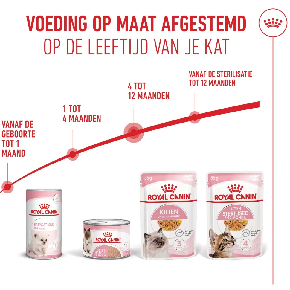 Royal Canin Kitten in Jelly - Kattenvoer