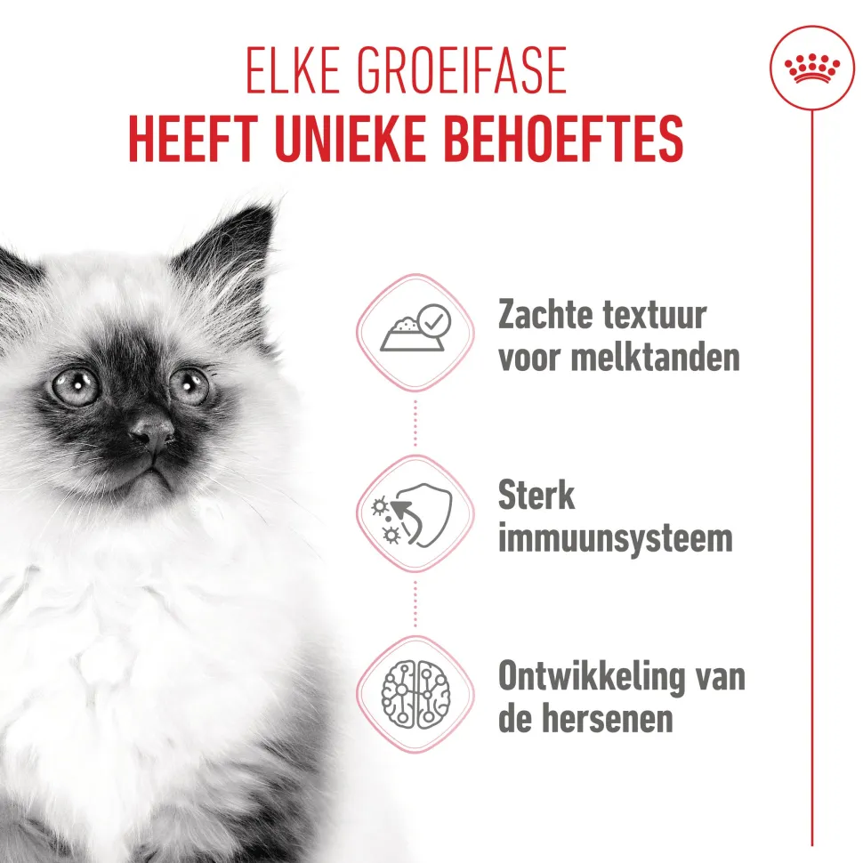 Royal Canin Kitten in Jelly - Kattenvoer