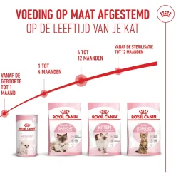 Royal Canin Kitten - Kattenvoer