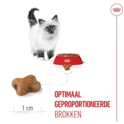 Royal Canin Kitten - Kattenvoer