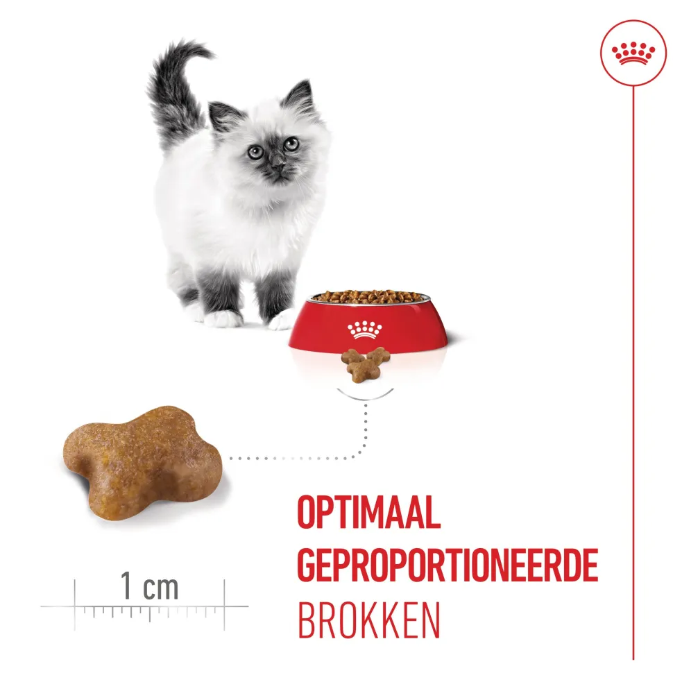 Royal Canin Kitten - Kattenvoer