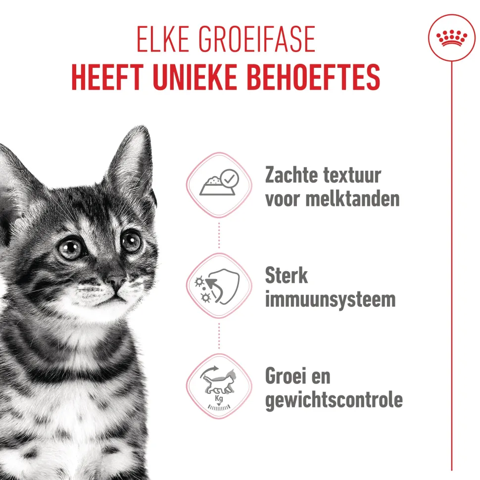 Royal Canin Kitten Sterilised in Gravy - Maaltijdzakje