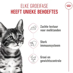 Royal Canin Kitten Sterilised in Jelly - Maaltijdzakje