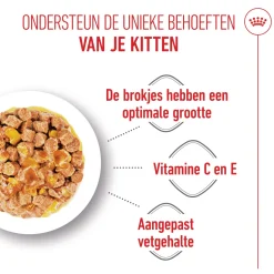 Royal Canin Kitten Sterilised in Jelly - Maaltijdzakje