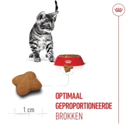 Royal Canin Kitten Sterilised - Kattenvoer