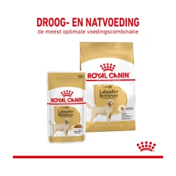Royal Canin Labrador Retriever Adult Wet