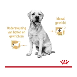 Royal Canin Labrador Retriever Adult Wet