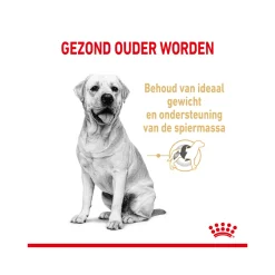 Royal Canin Labrador Retriever Adult 5+