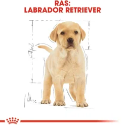 Royal Canin Labrador Retriever Puppy - Hondenvoer