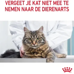 Royal Canin Light Weight Care in Jelly - Kattenvoer