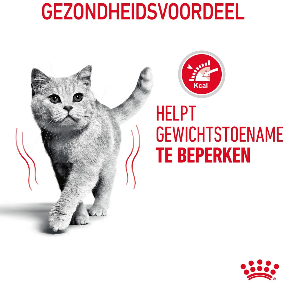 Royal Canin Light Weight Care in Jelly - Kattenvoer