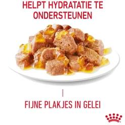 Royal Canin Light Weight Care in Jelly - Kattenvoer