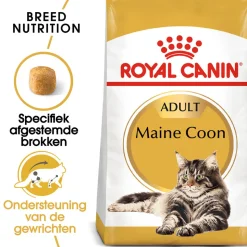 Royal Canin Maine Coon Adult - Kattenvoer