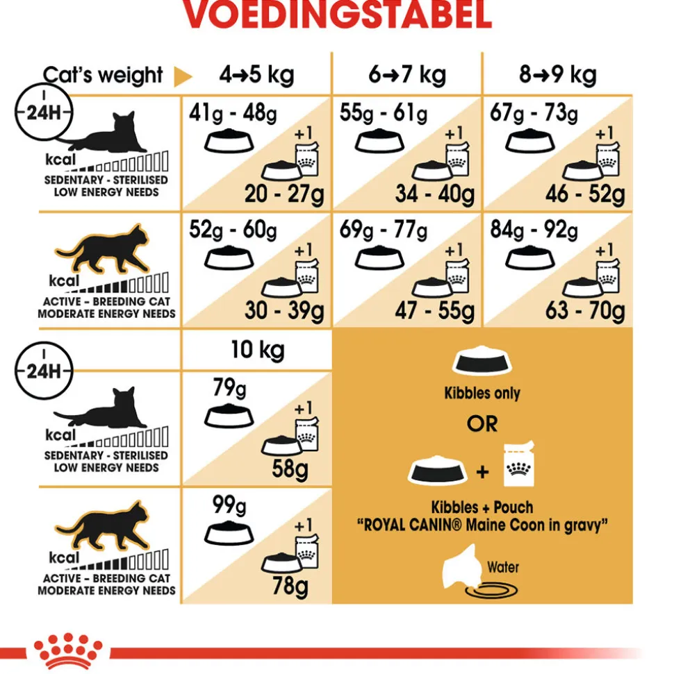 Royal Canin Maine Coon Adult - Kattenvoer