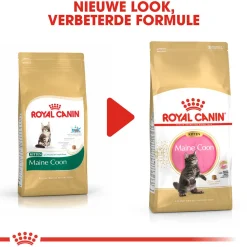 Royal Canin Maine Coon Kitten - Kattenvoer