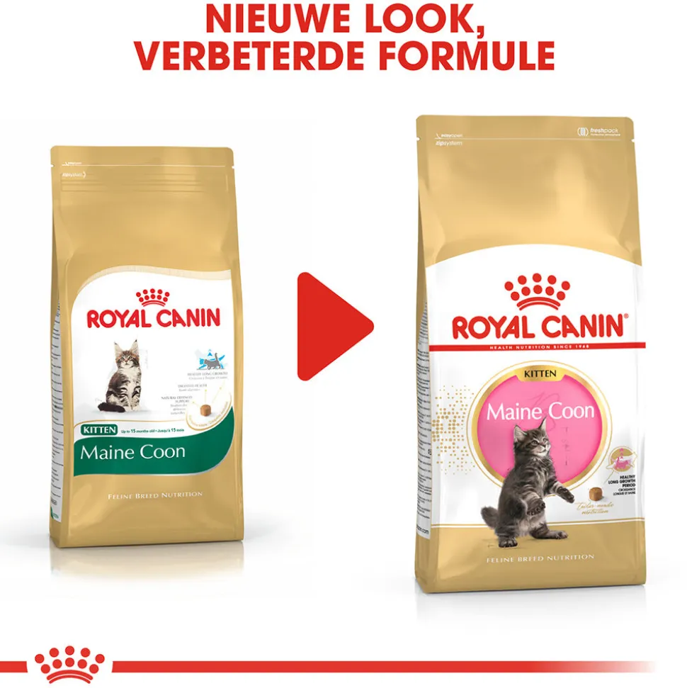 Royal Canin Maine Coon Kitten - Kattenvoer
