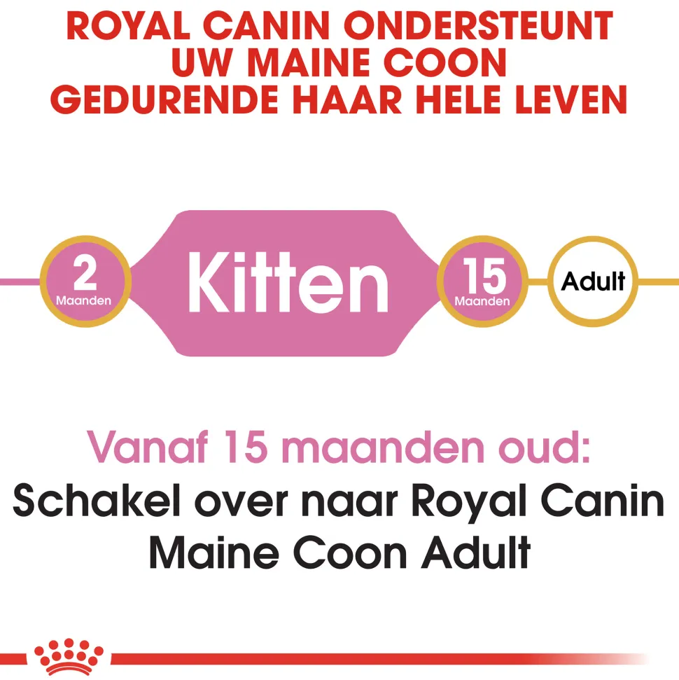 Royal Canin Maine Coon Kitten - Kattenvoer