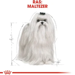 Royal Canin Maltese Adult - Hondenvoer